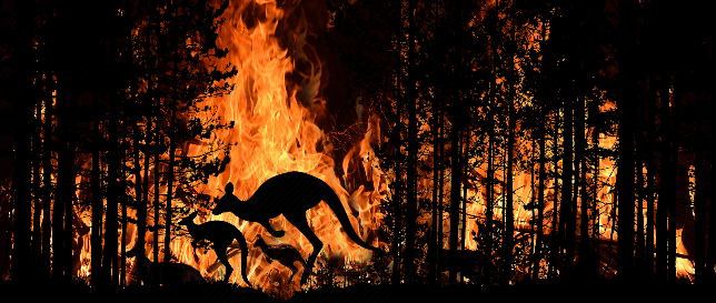 Emergency Management Courses